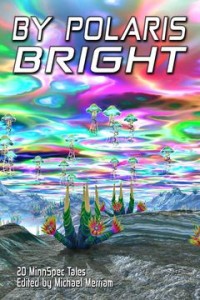 By Polaris Bright Book Cover